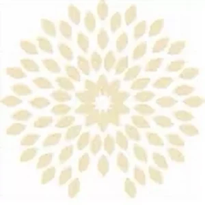 فول سوداني - peanut